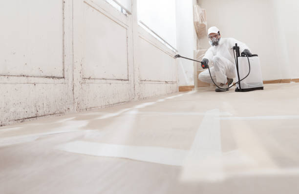 24/7 Emergency Mold Inspection experts in Woodbridge, NJ
